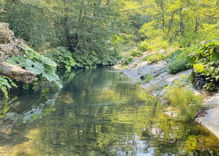 Castagna By Interhome