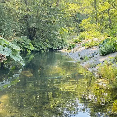 Castagna By Interhome