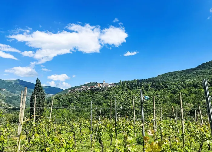 Castagna By Interhome Tatil Evi